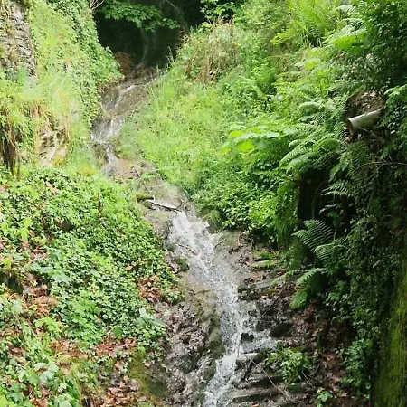 Lejlighed Sunny&cozy - Maisonette In Naehe